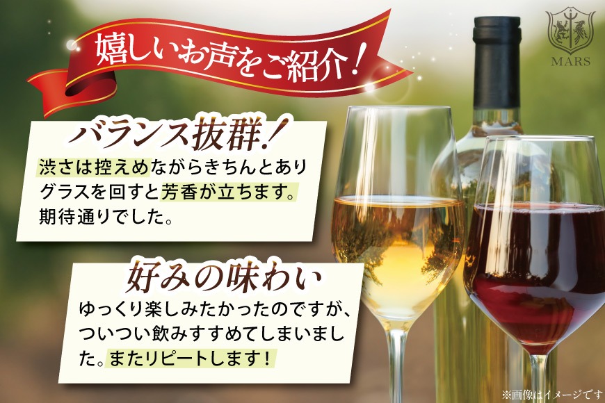 ワイン 白 スパークリング おまかせ マルスワイン2本セット ～夏の陣～ [本坊酒造 マルス穂坂ワイナリー 山梨県 韮崎市 20743116] 白ワイン スパークリングワイン 夏のワイン シャトーマルス