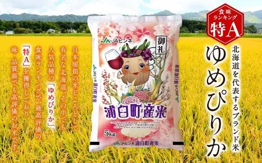 〈 令和8年産 〉 浦臼産ゆめぴりか 精白米 5kg × 1袋 お米 米 こめ コメ 白米 白飯 飯 ご飯 おにぎり 国産 北海道産 ブランド米 ブランド 粘り タンパク質 艶 【 2026年10月下