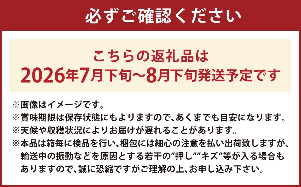 シャインマスカット 晴王 1房 約700g