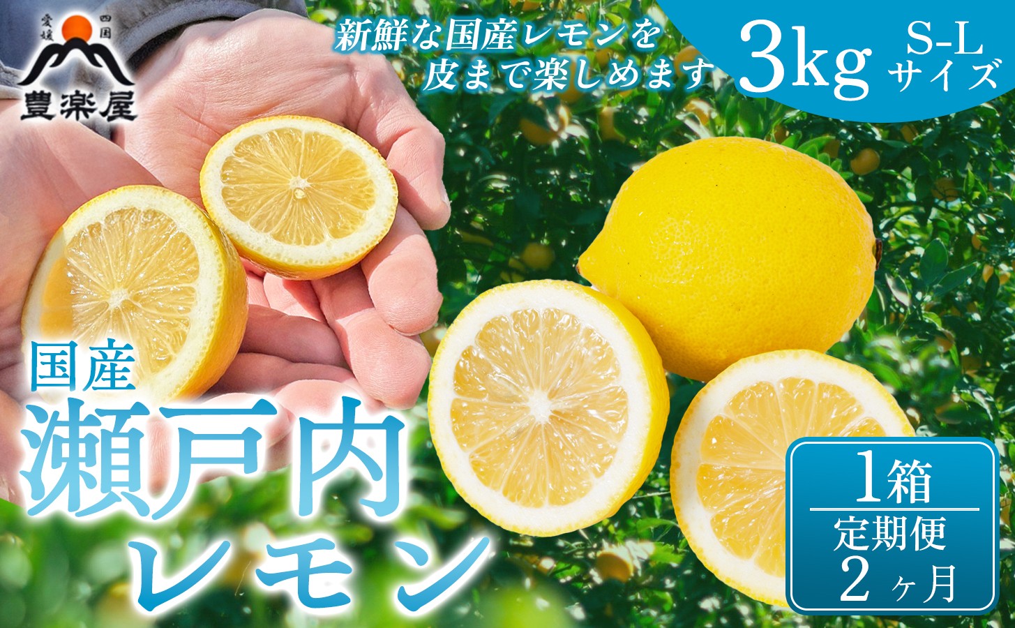 
                  【定期便2ヶ月】【防腐剤・ワックス不使用で安心】真穴産地直送の国産レモン 瀬戸内レモン3kg サイズS~L 1箱 全2回【98-31】ふるさと納税 れもん 檸檬 レモン 柑橘  産地直送 愛媛県 八幡浜市 送料無料 YWTBU024
                