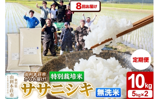 《定期便8ヶ月》令和7年産【無洗米】特別栽培米 ササニシキ 10kg（5kg×2袋） 秋田県産 [ササニシキ 米 お米 白米 精米 無洗米 特別栽培米 ブランド米 食卓 秋田県産 秋田県 由利本荘市]