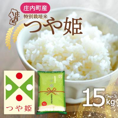ふるさと納税 庄内町 庄内町産 つや姫 15kg 5kg×3袋 令和7年産 2025年産 ブランド米