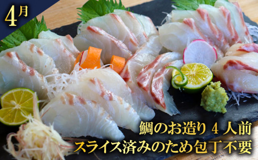 定期便 全6回 愛南の魚料理 クエ鍋セット タマクエ 鯛 タイ お造り 刺身 さしみ シマアジ フィーレ フィレ  鯛めし 丼 醤油 漬け カツ フライ ハラミ 唐揚げ カマ 焼き グリル 海鮮 魚介