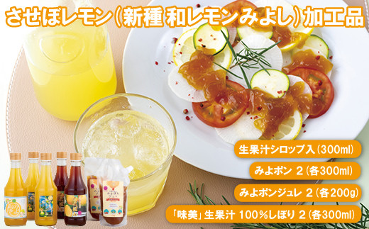 C170p 幻の香酸かんきつ味美(新種和レモン)加工品