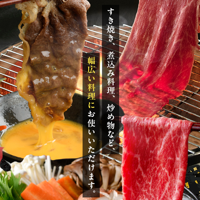 i1332-B ＜定期便・計3回(隔月)＞ 鹿児島県産 黒毛和牛 5等級！カタ(ウデ)スライス(600g×3回・計1.8kg) 国産 九州産 牛肉 黒毛和牛 定期便 赤身 カタ ウデ スライス 肉 お