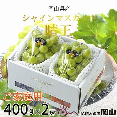 
            【2025年8月下旬より発送】ご家庭用 岡山県産 シャインマスカット 晴王 400g×2房 ぶどう 葡萄 ブドウ フルーツ 果物
          