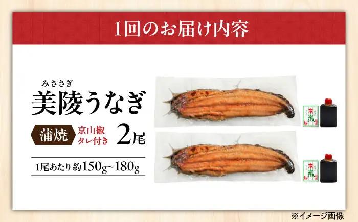 【全6回定期便】鰻 鰻の蒲焼 2尾/ 美陵鰻 鰻 うなぎ ウナギ 蒲焼 蒲焼き かば焼き かばやき 白焼き 白焼 しろやき しらやき 特大 肉厚 うな重 うな丼 ひつまぶし 惣菜 おかず タレ 山椒 