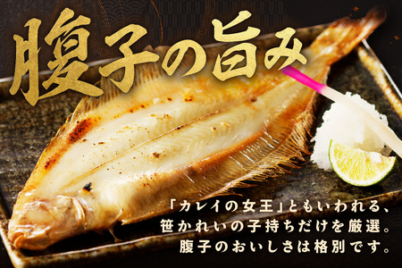 浜田産子持ち笹カレイ 魚介 魚 加工品 一夜干し 干物 子持ち笹かれい 笹かれい 魚介類 魚貝類 干物 干もの 一夜干し ギフト 新鮮 厳選 海鮮 セット【038_1953】