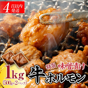 【４日以内発送】特製味噌漬け牛ホルモン大容量 1kg(500g×2)【配送不可：離島】◆もつ ホルモン 牛肉 焼肉 ビール 小腸 小分け ホルモン 