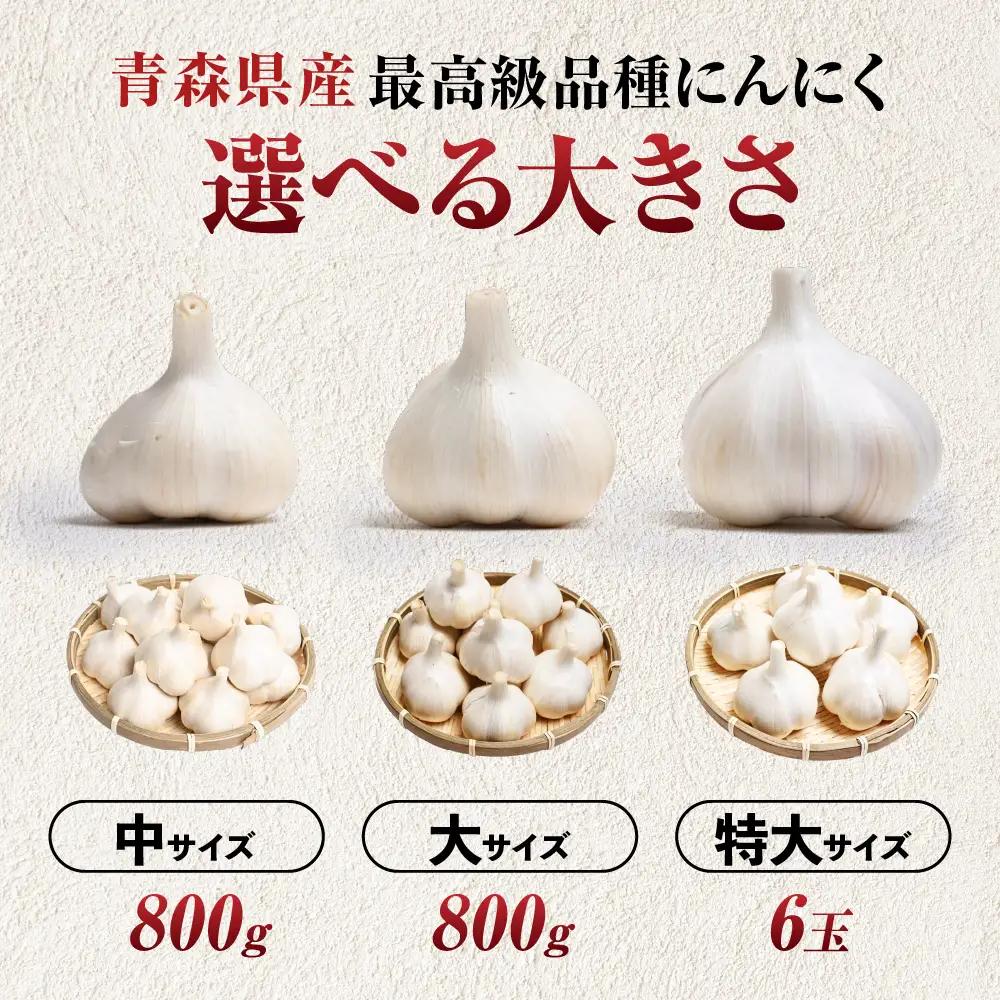 青森県産にんにく 中サイズ 800g 福地ホワイト にんにく