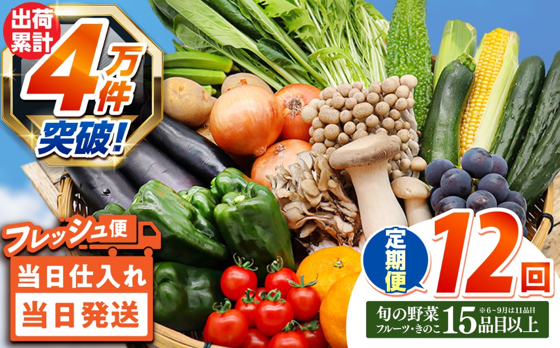 【12回定期便】豪華！野菜 セット 15品目以上 12回 定期便 / 野菜 フルーツ きのこ 詰め合わせ 南島原市 / 吉岡青果 [SCZ019]