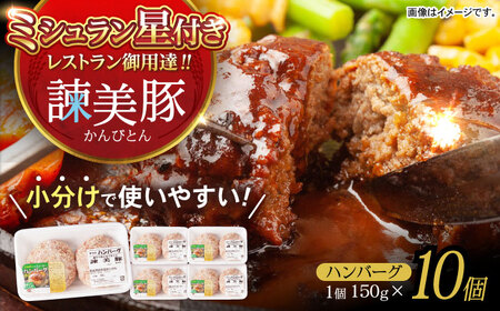 諫美豚ハンバーグ 10個（各150g）計1.5kg / 豚肉 ハンバーグ はんばーぐ おかず 惣菜 冷凍 / 諫早市 / 土井農場 [AHAD064]