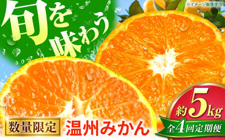 【先行予約】【全4回定期便】 数量限定 温州みかん 5kg 極早生 早生 中生 晩生 みかん 【池田農園】[ZEX010]