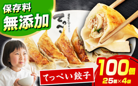 てっぺい餃子 100個【25個×4】無人屋[AOCX006] 餃子