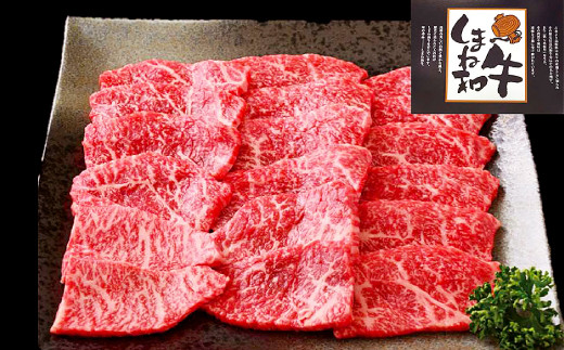 D-1029 しまね和牛 モモ(焼肉用) 1.3kg