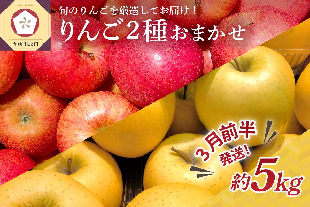 【2025年3月前半発送】 りんご 青森産 約5kg 品種おまかせ2種以上 贈答用 特選～特秀