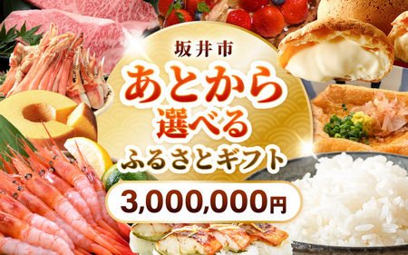 坂井市 あとからセレクト 【ふるさとギフト：3,000,000円】 [gift-023]