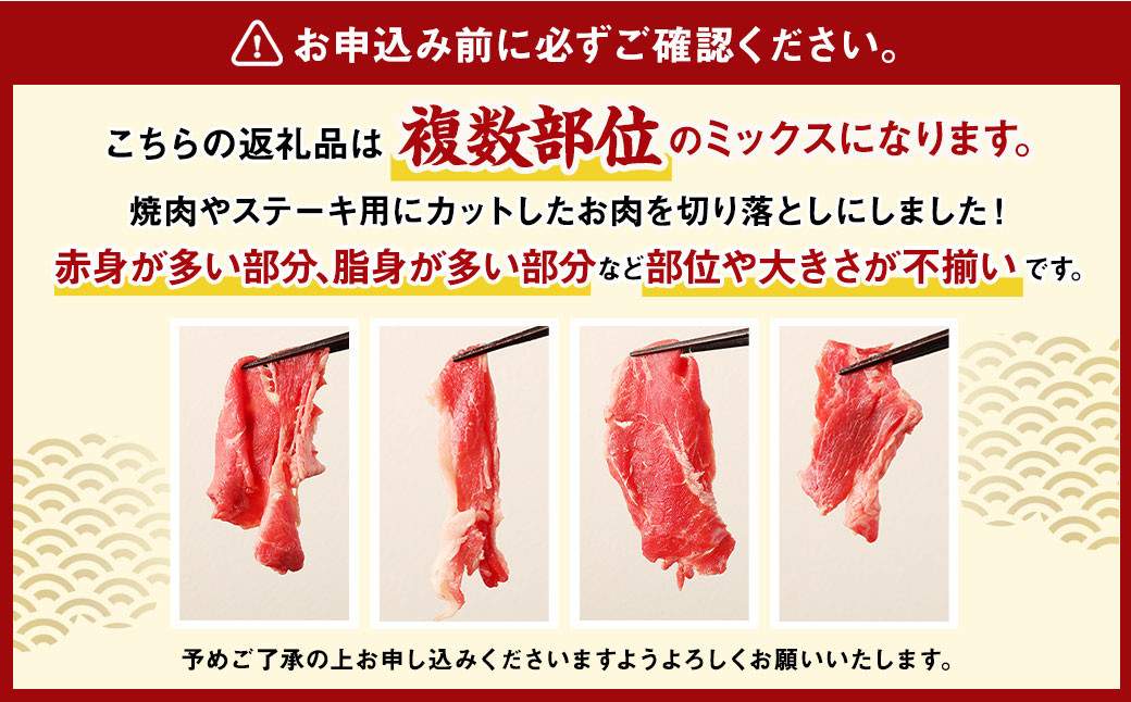 豊後牛 切り落とし 合計約5.4kg (約600g×9パック) 牛肉 国産 大分県産