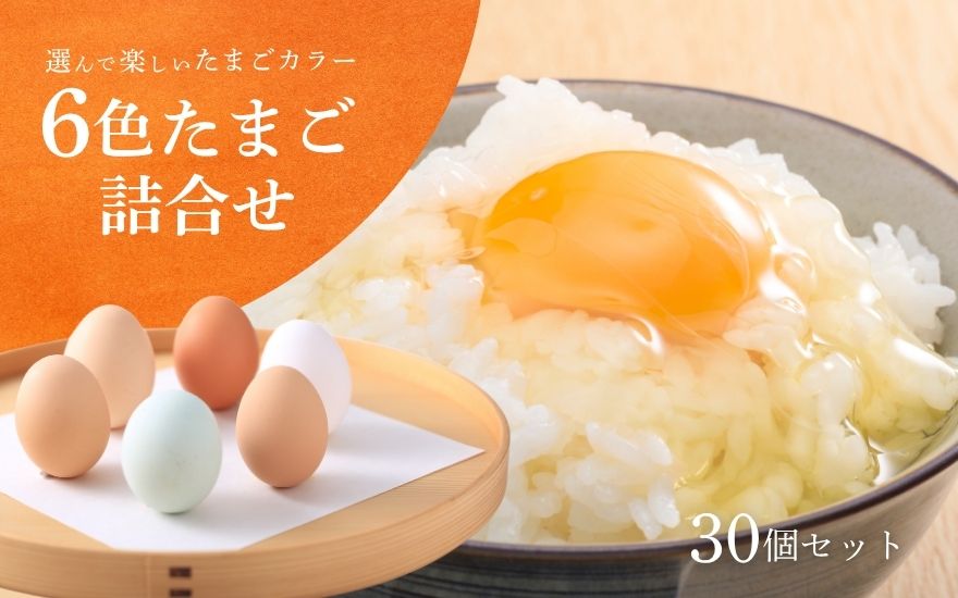 キムラファームの産みたて卵 6色たまご詰合せ 30個 産みたてたまご たまご 卵 玉子 タマゴ 鶏卵 オムレツ 卵かけご飯 たまご焼き 新潟県 五泉市　先行予約（2025年9月以降順次発送）