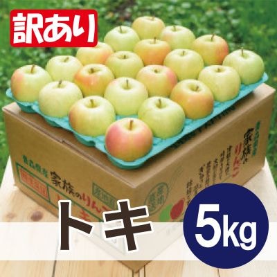 【26年2月より順次発送】平均糖度13度以上! トキ 約5kg 訳あり【配送不可地域：沖縄県】【1611799】