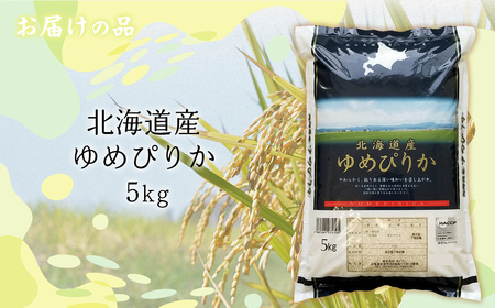 【令和7年産】北海道産ゆめぴりか 5kg 【ふるさと納税 人気 おすすめ ランキング 米 こめ コメ お米 ゆめぴりか ご飯 ごはん 白米 おにぎり 精米 北海道産 北海道 網走市 送料無料】 ABT