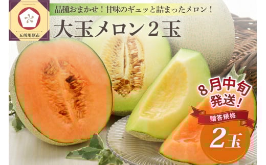 【2025年8月中旬発送】津軽産贈答規格メロン大玉2個【青森メロン】