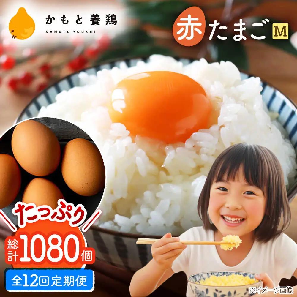 【全12回定期便】赤たまご M玉 90個（85個＋5個割れ保証）【株式会社 かもと養鶏】タマゴ 玉子 熊本県 卵 国産 新鮮 あかたまご M玉  濃厚   [ZCA016]