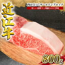 【ふるさと納税】 近江牛 サーロイン ブロック 800g 冷凍 黒毛和牛 牛肉 ステーキ ブランド 肉 近江牛 三大和牛 贈り物 ギフト プレゼント 滋賀県 竜王 岡喜