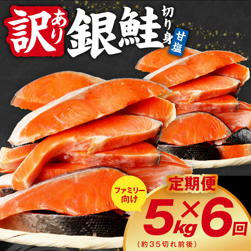 【定期便】銀鮭 切り身 5kg(約35切れ前後) 全6回【訳あり 規格外 甘塩 バラ凍結 海鮮 魚介 鮭 さけ しゃけ お弁当 朝食 おかず 簡単調理】 G4974