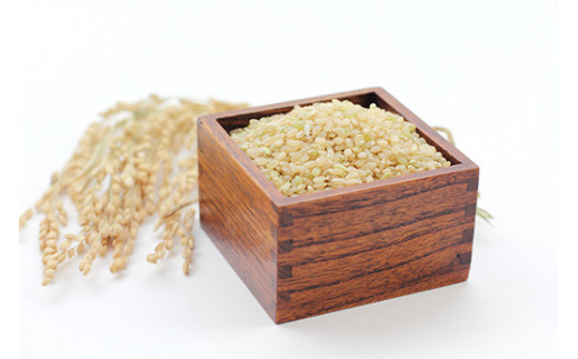 佐賀県産ゆめしずく（特A） 白米4.5kgと玄米5kg 015-B825_イメージ3