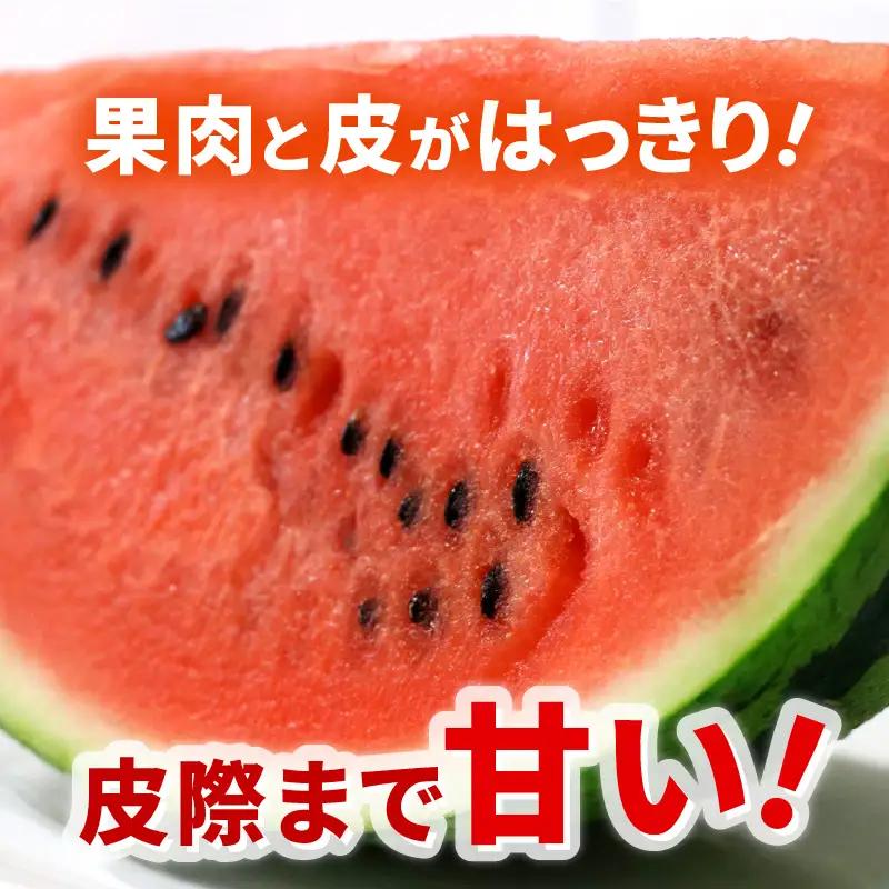 【先行予約】大玉スイカ「夏の天使」 1玉入 （L～2L）抜群の糖度で甘い！／ 期間限定 果物 フルーツ 西瓜 産地直送 ※2026年7月中旬より順次発送 [aw003-a002]