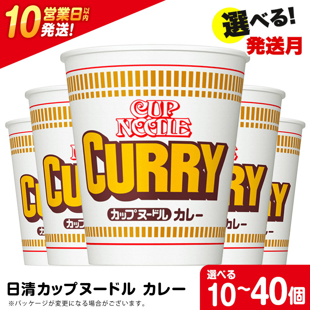 【ふるさと納税】 日清★カレーヌ−ドル★ 選べる10食～40食 1箱（20食入） 麺類 ラーメンラーメン麺 即席麺 麺類 ラーメン カップ麺 インスタント 麺類 カップラーメン 【北海道千歳市】ギフト ふるさと納税