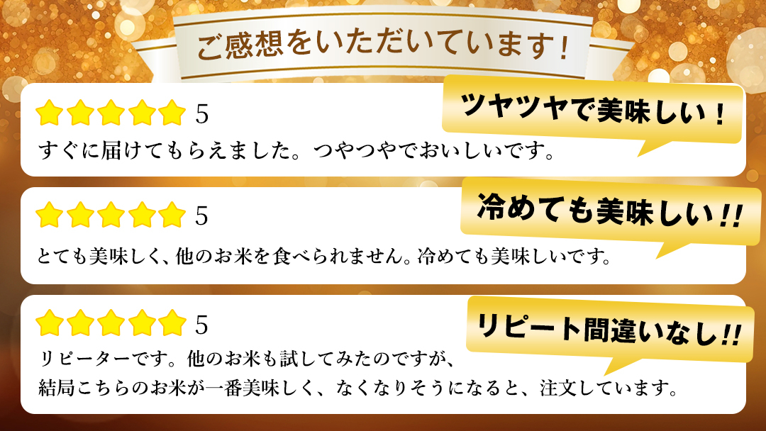 【 新米 】【6回定期便】お米 10kg (5kg×2) ( 総計60kg ) 白米 ひとめぼれ 特別栽培米 ★令和8年産★ 精米 米 おこめ ご飯 令和8年 特別栽培 仕送り お弁当  5キロ 10