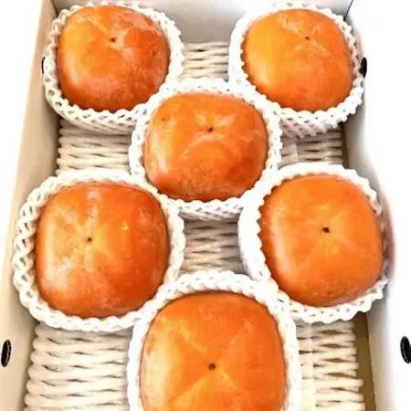 【秋の味覚】和歌山産たねなし柿約2kg  化粧箱入り(2L～4Lサイズ)【日高町】2026年度発送【配送不可地域：離島】【1218075】