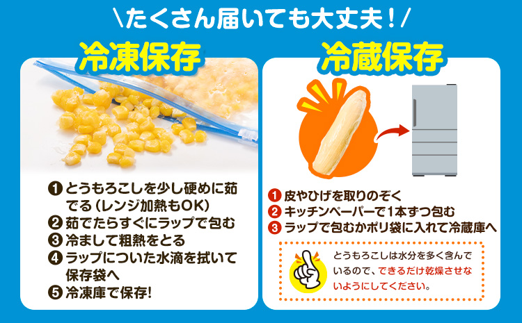 新登場★ トウモロコシ 味来 【収穫後当日出荷！】 夏祭り 約5kg 13本前後《6月中旬-7月中旬頃出荷予定》 茨城県 結城市 野菜 甘味が強い 柔らかい ジューシー フルーティー 夏野菜 コーン【