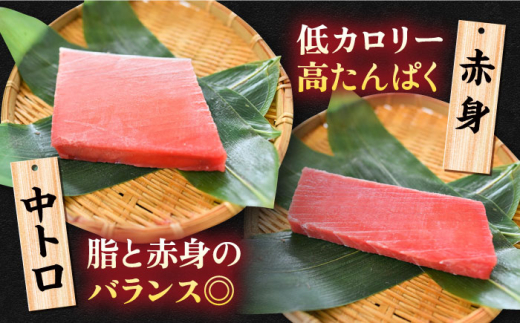 【全6回定期便】天然 まぐろ 大トロ・中トロ・赤身（約200ｇ×6柵）約1200ｇ 鮪 マグロ 魚 刺身 横須賀【本まぐろ直売所】 [AKAK084]