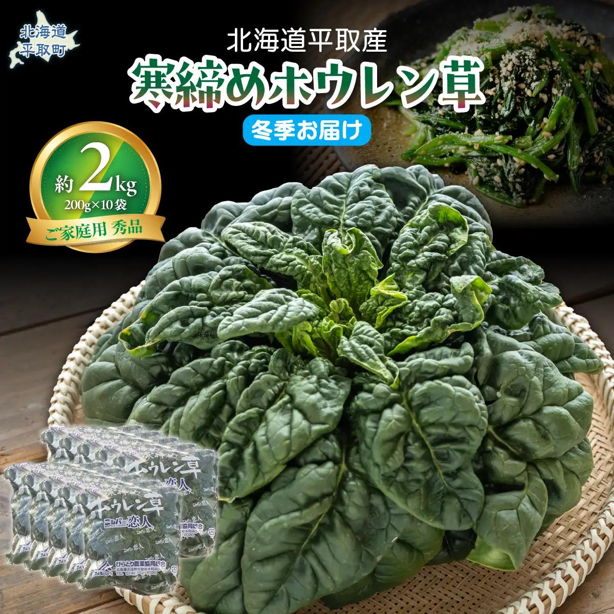 【先行予約/2026年12月上旬以降発送】【北海道平取町産】寒締めホウレン草（ちぢみほうれん草）200g×10袋 BRTO003