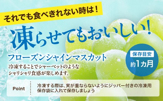 【先行予約】【数量限定】島根県産 シャインマスカット 500g 【215_0001】