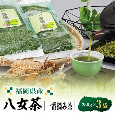 ふるさと納税 大牟田市 八女茶一番摘み茶 250g×3