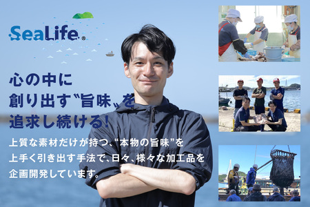 訳あり品でも味は正規品　島根県産剣先イカ一夜干し計５００ｇ（5～10枚） 【005_2078】