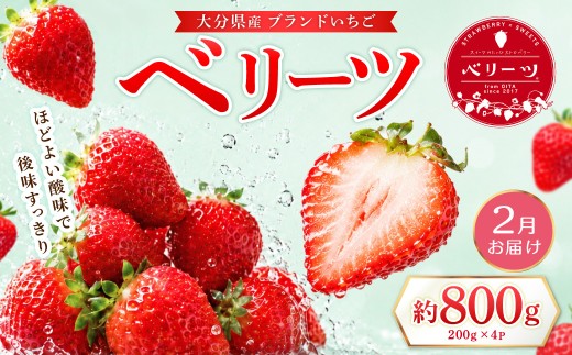ベリーツ 約200g×4P【2月出荷】 2A3