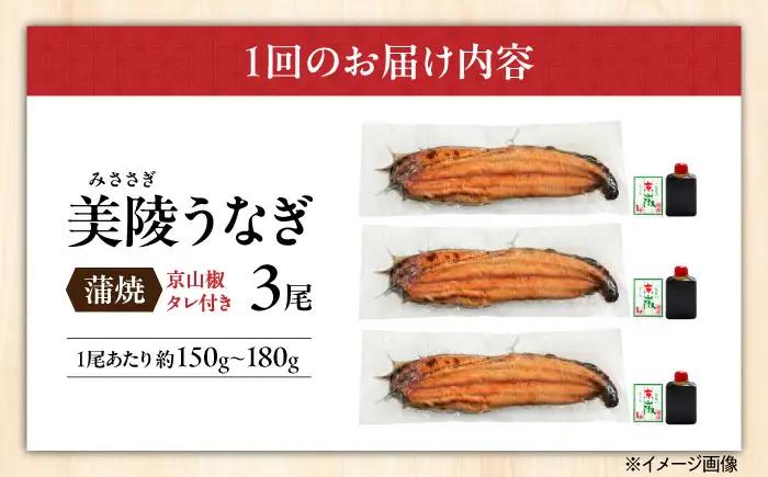 【全6回定期便】鰻 鰻の蒲焼 3尾/ 美陵鰻 鰻 うなぎ ウナギ 蒲焼 蒲焼き かば焼き かばやき 白焼き 白焼 しろやき しらやき 特大 肉厚 うな重 うな丼 ひつまぶし 惣菜 おかず タレ 山椒 