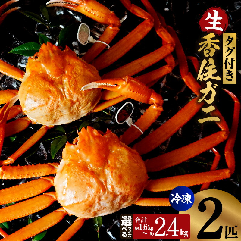 【ふるさと納税】 活〆タグ付き 香住ガニ 【選べるサイズ（特大 約800g×2匹 ／ 特々大 約1.0kg×2匹 ／超特大 約1.2kg×2匹）】 蟹 紅ズワイガニ カニ かに タグ 国産 姿 刺身 かに鍋 紅ずわい かにすき 冷凍便 07-113 07-114 07-136 送料無料