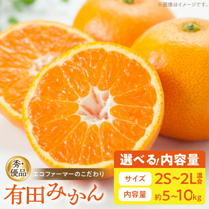 【ふるさと納税】【限定】 【2025年先行予約】 エコファーマーのこだわり 有田みかん サイズ混合 選べる 5～10kg (秀・優品) 【ミカン 蜜柑 柑橘 温州みかん 有田みかん】