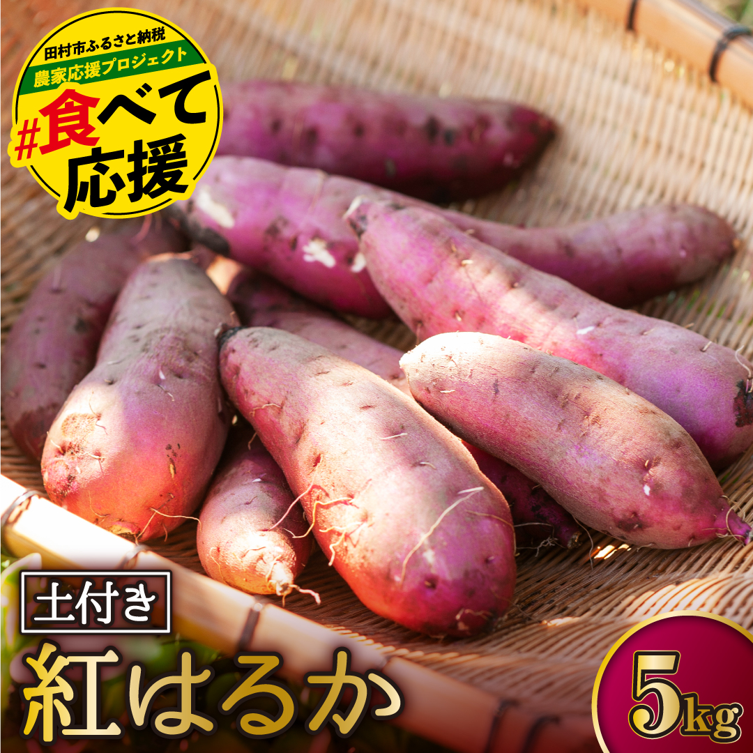 土付き さつまいも 「紅はるか」 5kg いも 芋 サツマイモ 焼き芋 スイーツ 栄養 レシピ 煮物 天ぷら 甘煮 おかず 蒸し芋 甘い 保存方法 成分 美容効果 収穫時期 品種 福島県 田村市 ひまわり農園 N038-001