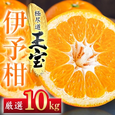 【愛媛名産】玉宝伊予柑　10kg【F64−60】【1510839】
