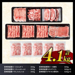 ヒルナンデスで紹介！【令和7年6月発送】宮崎県産豚肉6種4.1kg 【 肉 豚肉 国産豚肉 九州産豚肉 宮崎県産豚肉 豚肉 大容量 豚肉 しゃぶしゃぶ スライス 豚肉 】