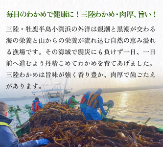世界三大漁場の恩恵をうけて育った 塩蔵わかめ わかめ 三陸わかめ 肉厚 歯応え 茎わかめ (大)