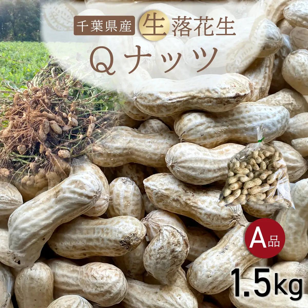 【先行受付・9月中旬より順次発送！】Qナッツ 生落花生 1.5kg SMAH014／ふるさと納税 落花生 生 生落花生 Qナッツ 生Qナッツ A品 大粒 希少 旬 季節限定 ふっくら 柔らか ほくほく