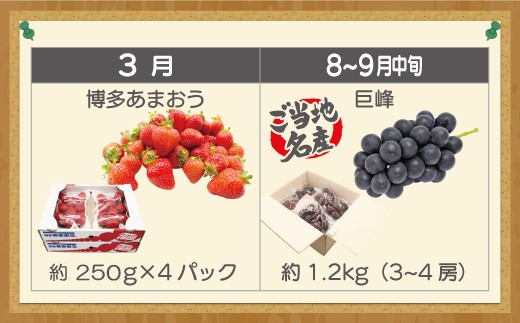 【定期便】宮若市旬のフルーツ定期便  (年4回) [M763] ブランド いちご ぶどう みかん 柿 大人気 NO1 限定品 高級 フルーツ 果物 くだもの 特別 冷蔵 プレゼント 九州 福岡 宮若市